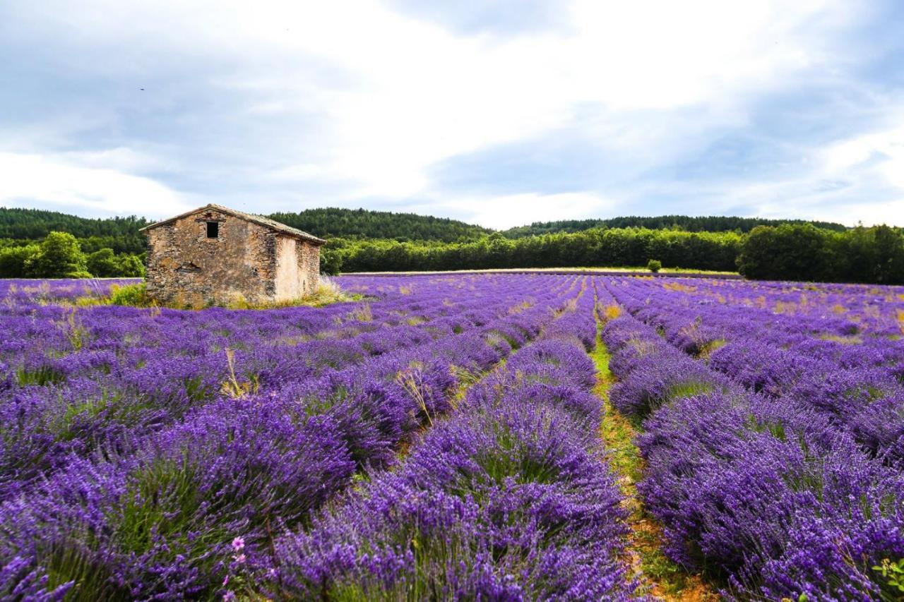 Petit Studio Atypique Et Cosy En Provence Saint-Étienne-les-Orgues Dış mekan fotoğraf